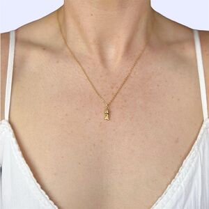 Gold Plated Fish Charm Pendant Necklace🐠